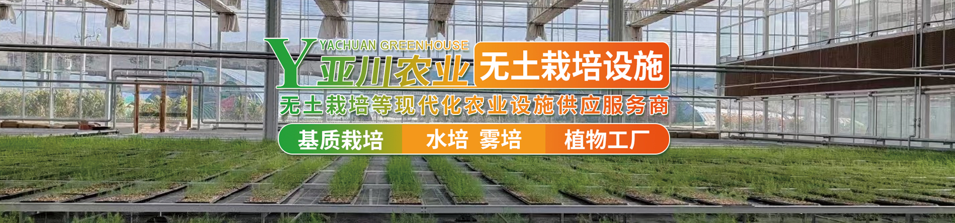 公司简介