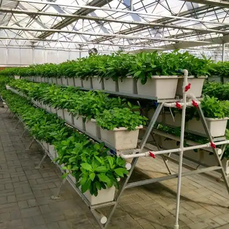 毕节市植物工厂植物工厂 - 一站式服务