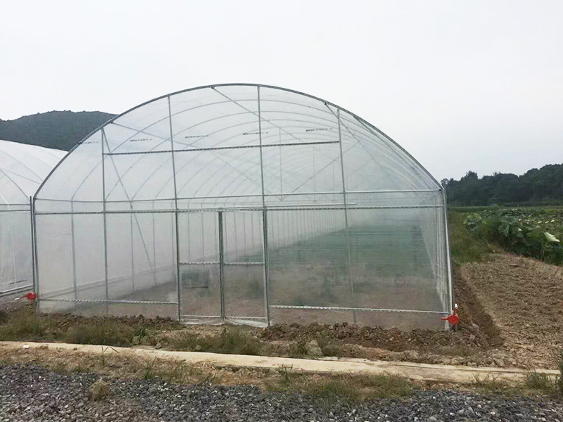 毕节市薄膜大棚植物工厂 - 一站式服务